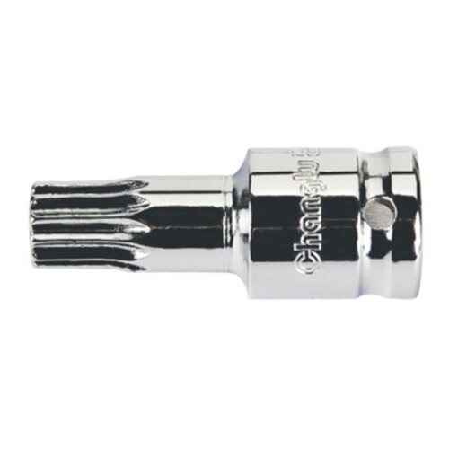 galvute-tepalui-isleisti-m16-audi-2